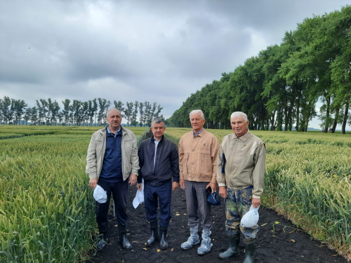 Селекционно-семеноводческий центр посетили представители Национального центра зерна им. П.П. Лукьяненко