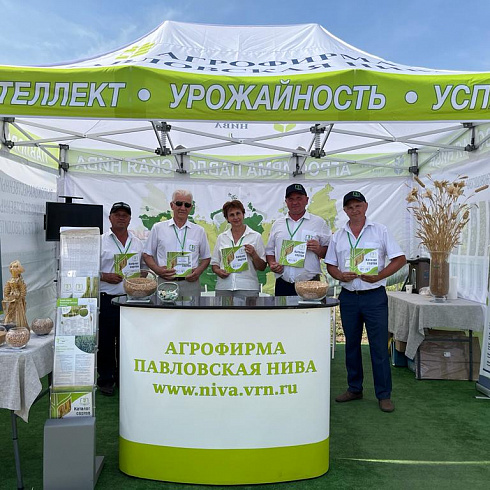 «Павловская нива» представила высокопродуктивные сорта на Всероссийском Дне поля