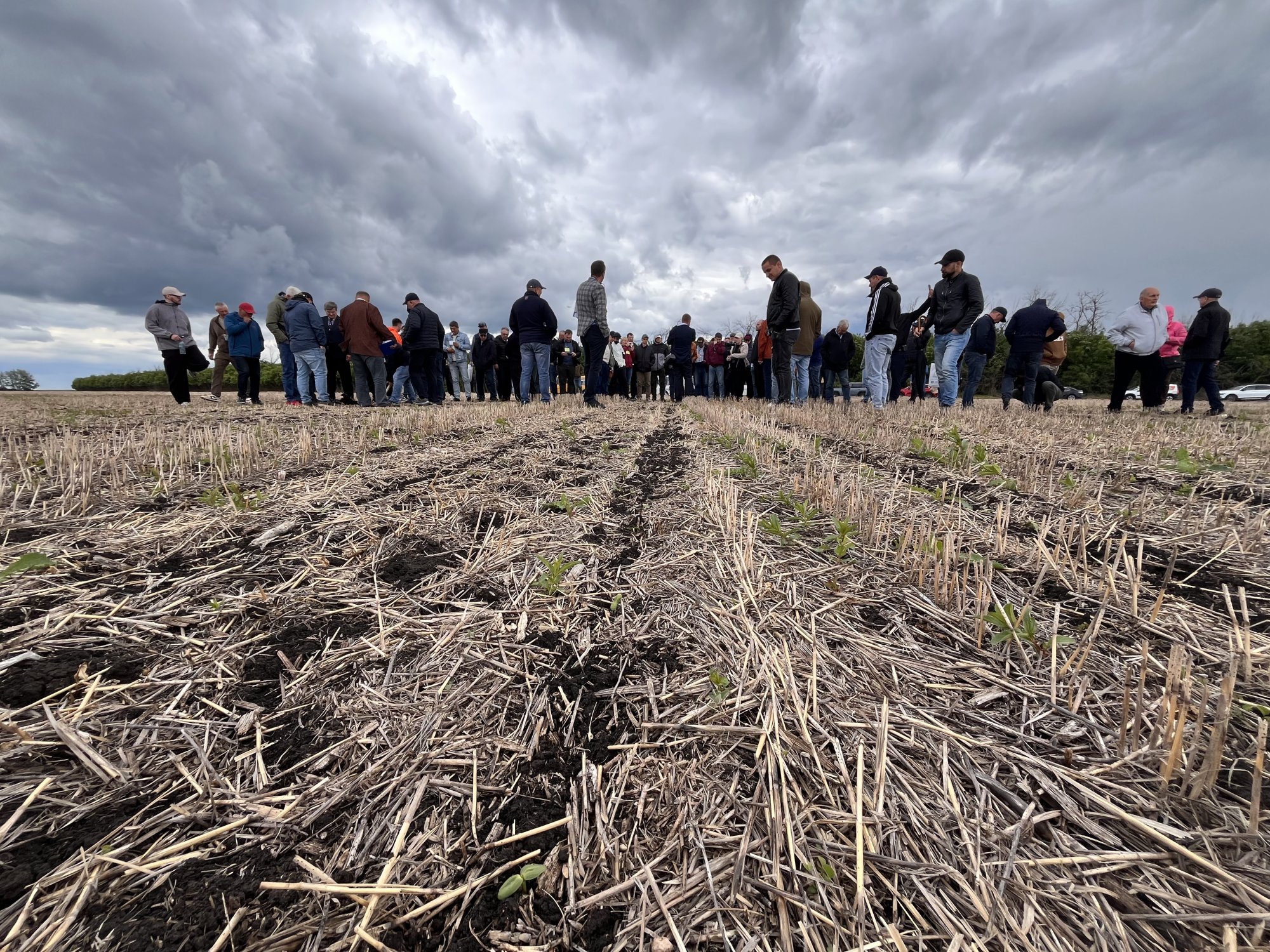 День поля No-till: на базе «Павловской нивы» прошел семинар по технологии прямого посева День поля No-till: на базе «Павловской нивы» прошел семинар по технологии прямого посева