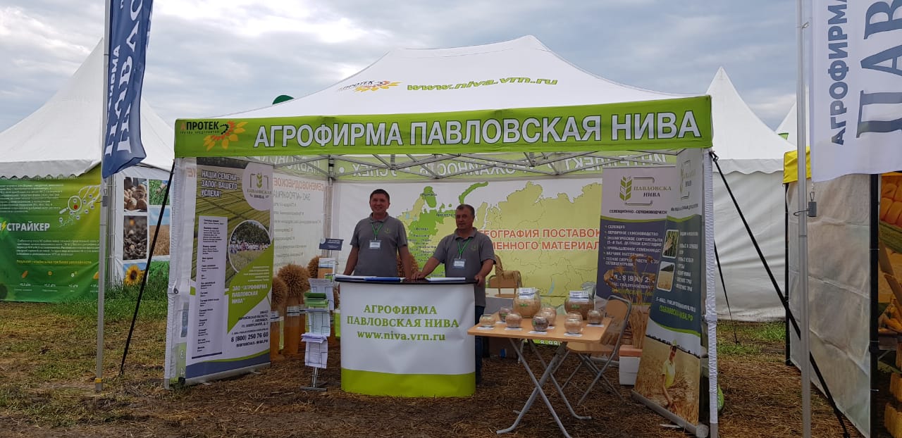 «День Донского поля-2021»: два дня в эпицентре аграрной жизни юга России.