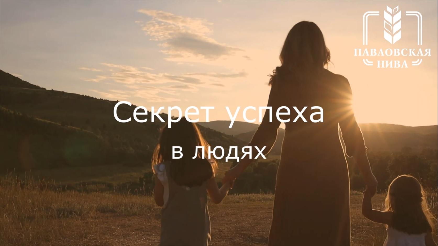 Специальный проект о трудовых династиях «Павловской нивы» Специальный проект о трудовых династиях «Павловской нивы»