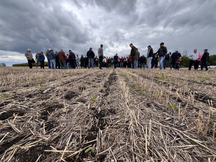 День поля No-till: на базе «Павловской нивы» прошел семинар по технологии прямого посева