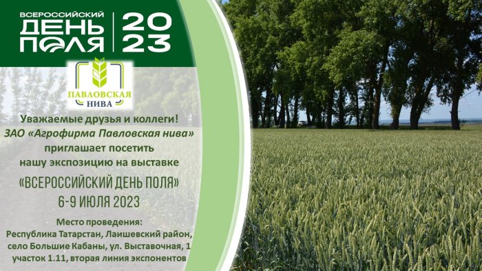«Павловская нива» приглашает на «Всероссийский день поля – 2023»