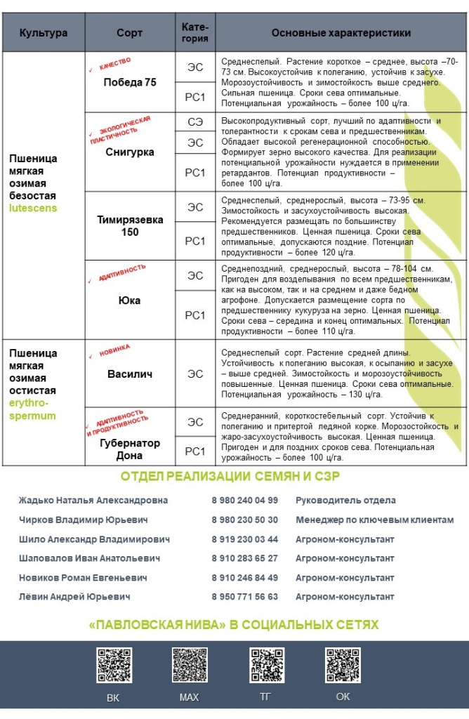 Слайд3.JPG