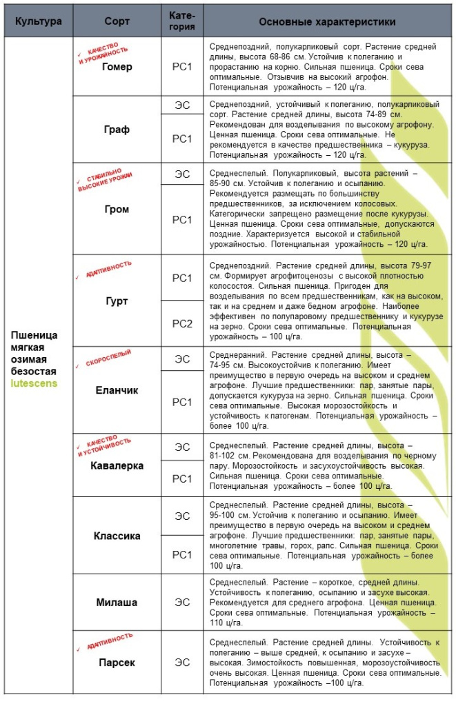 Слайд2.JPG