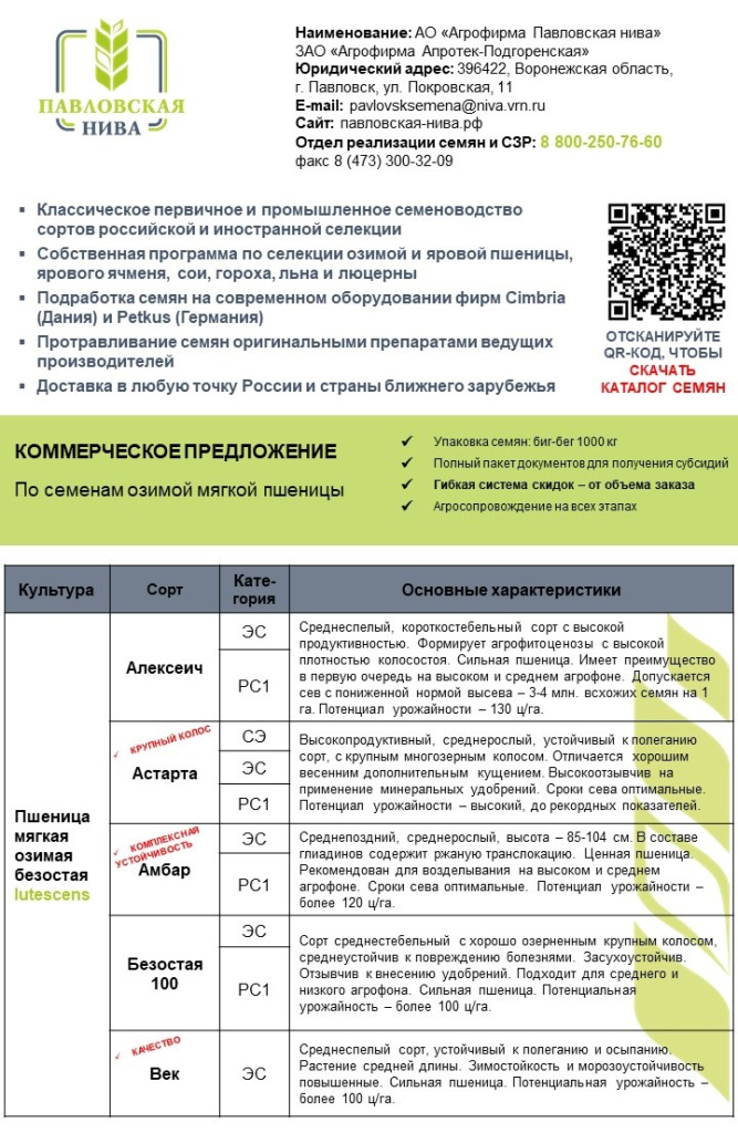 Слайд1.JPG