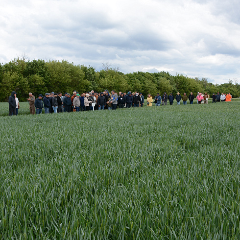 День поля No-till: на базе «Павловской нивы» прошел семинар по технологии прямого посева