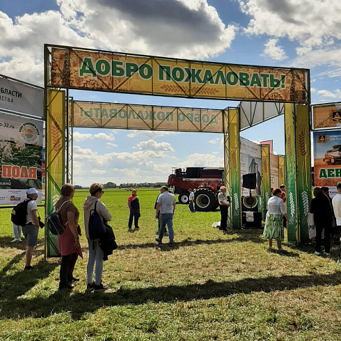 Агрофирма Павловская нива принимает участие в Дне Брянского поля 