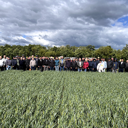 День поля No-till: на базе «Павловской нивы» прошел семинар по технологии прямого посева