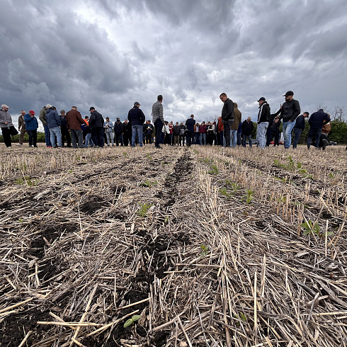 День поля No-till: на базе «Павловской нивы» прошел семинар по технологии прямого посева