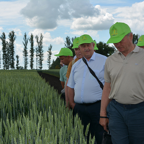 «Ценный опыт для луганских аграриев»: делегаты ЛНР оценили возможности селекцентра агрофирмы Павловская нива