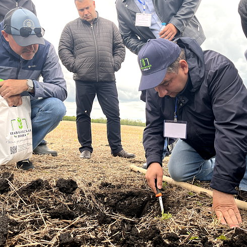 День поля No-till: на базе «Павловской нивы» прошел семинар по технологии прямого посева